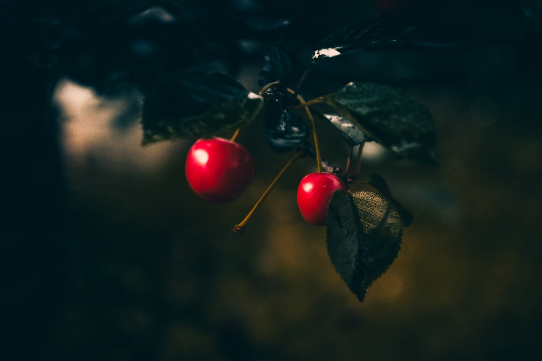 The Temptation of the Apple of Eve