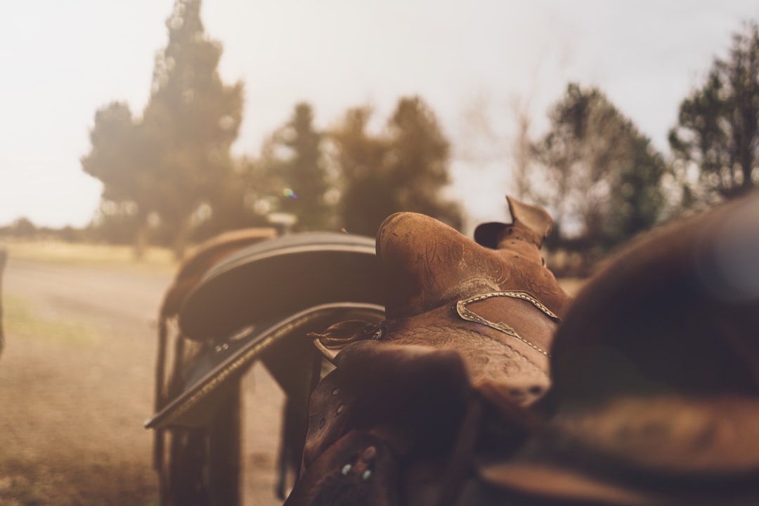 Experience the Wild West at Cowboy Village Resort