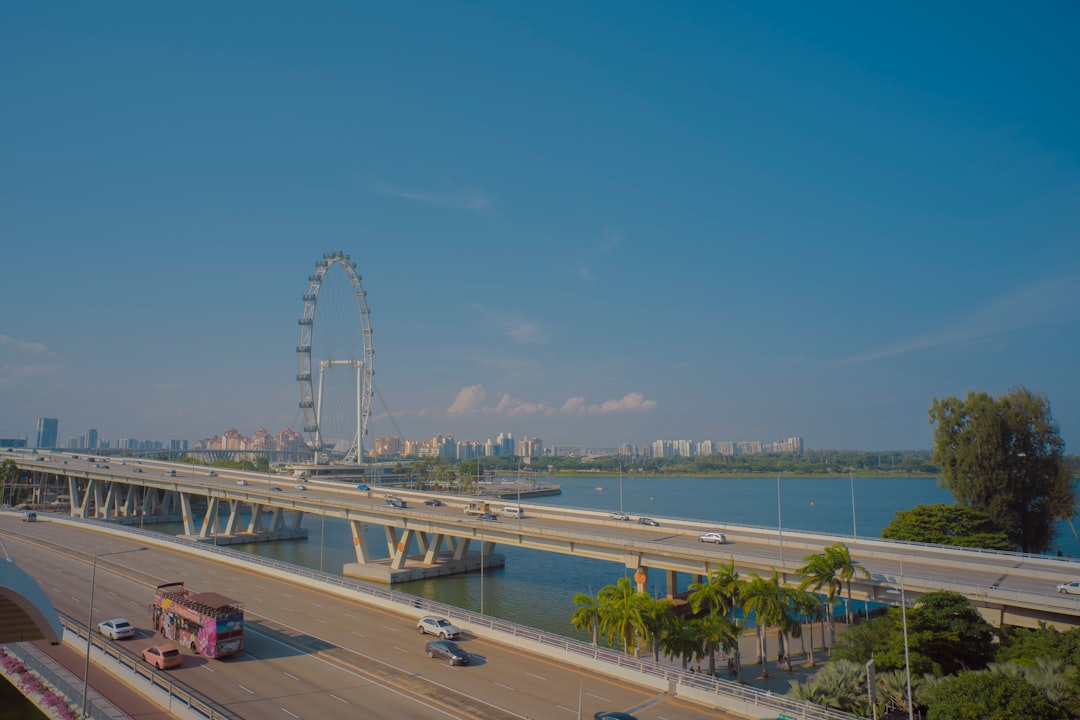 Discover the Wonders of Anyma Tour