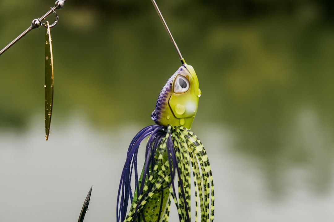 Master the Art of Fishing with Lipless Crankbaits